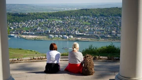Bürgerentscheid zur Rheinbrücke rückt näher