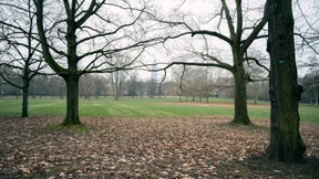 Mann an Bushaltestelle Grüneburgpark angegriffen und ausgeraubt