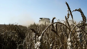 Klöckner: Sichere Ernten nicht mehr selbstverständlich