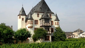 Gut Schönborn erwartet Hunderttausende Euro Schaden