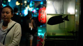 Schlafen können wir in der U-Bahn