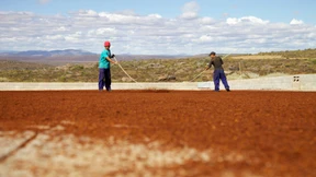 Da ist was im Rooibos