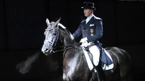 Das schwarze Wunderpferd