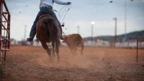 Auf Bullen und Bären setzen