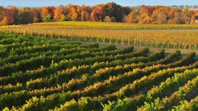 Nein, meine Tütensuppe  ess ich nicht!