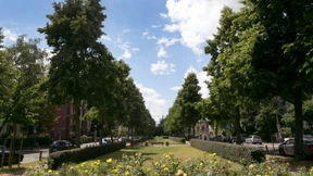 Frankfurts Innenstadt soll grüner werden