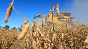 EU genehmigt 19 genveränderte Pflanzensorten