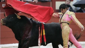 Rotes Tuch Stierkampf – Blutige Barbarei oder sterbendes Kulturgut?
