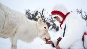 Schwedens Geschichte hat dunkle Kapitel