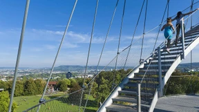 Neues Leben auf der Höhe