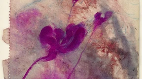 Als Joseph Beuys seine Venus zeichnete