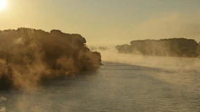 Rhein / rein / schein / ein / wein