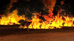 So entstehen Waldbrände