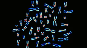 Forscher entwickeln Referenzgenom der Menschen
