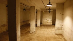 Führende deutsche Mitglieder der Colonia Dignidad verurteilt