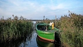 Die Insel des Vorsitzenden