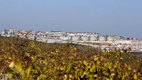 Das Völkerrecht gehört auch zur Staatsräson