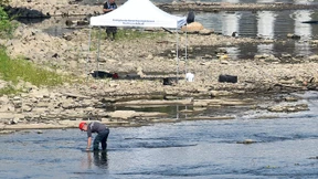 Plötzlich taucht der Krieg wieder auf