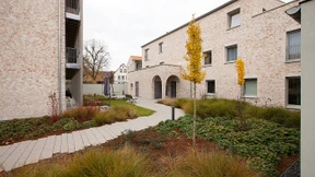 Wie aus Zwängen Zwingendes wird