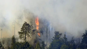 Feuer im Nationalpark Böhmische Schweiz noch nicht unter Kontrolle