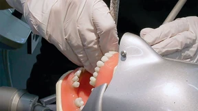 Bachelor im Zähne säubern