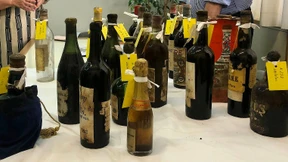 Hunderte wertvolle Weinflaschen im ehemaligen Königspalast entdeckt