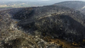 Wie ein Deutscher den griechischen Wald feuerfest machen will