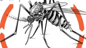 Werden wir die Blutsauger noch los?