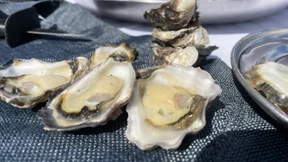 „Austern sind keine Luxusprodukte, sie sind gesund“