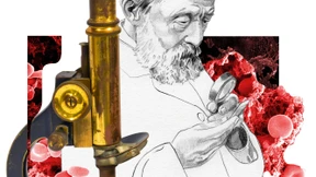 Woraus besteht der Mensch?