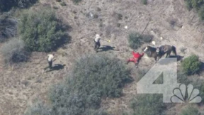 Neuer Fall von Polizeigewalt in Amerika