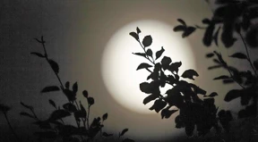 Es sieht aus, als könnte es diesmal gut werden