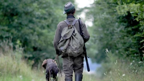 Der Wald-Wild-Konflikt