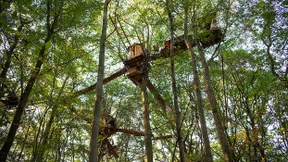 Innenminister ruft zum freiwilligen Verlassen der Baumhäuser auf