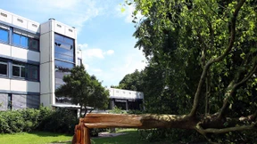 Rohrbombe explodiert vor Schule