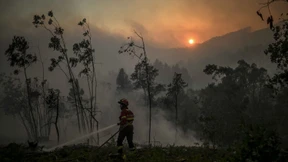 Abermals Waldbrände in Portugal
