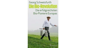 Warum Größe anfällig ist