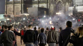 Im Nebel der Tatsachen 