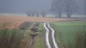Tote Frau gefunden: Polizei sucht weiter Unfallstelle