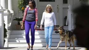 „Hunde erinnern einen daran, in der Gegenwart zu leben“