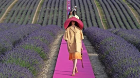 Nur diese fünfzehn Minuten