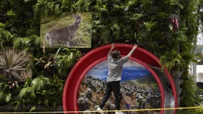 Prekäre Operation globaler Naturschutz