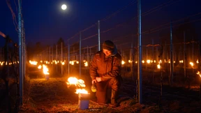 Mit Feuer gegen Nachtfrost