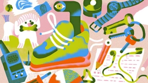 Wissen Sie, was ein Insectothopter ist?