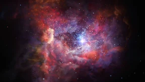 So jung und schon so staubig