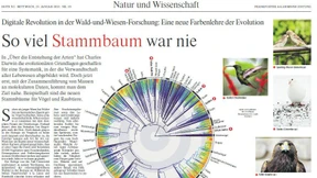 Die Gemälde der Lebensvielfalt