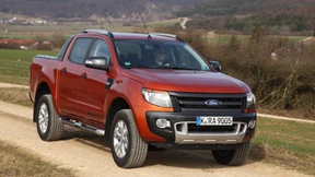 Komm, wirf das Lasso aus