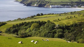 Grundschulkinder wollen nach Irland trampen