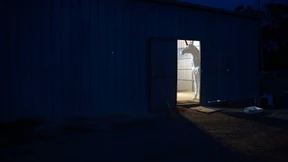 Auch Einhörner kämpfen mit Corona