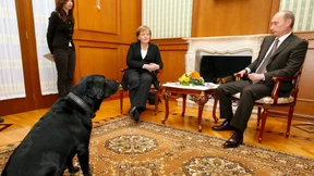 Vier Beine für ein Halleluja